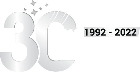 30 Years Logo